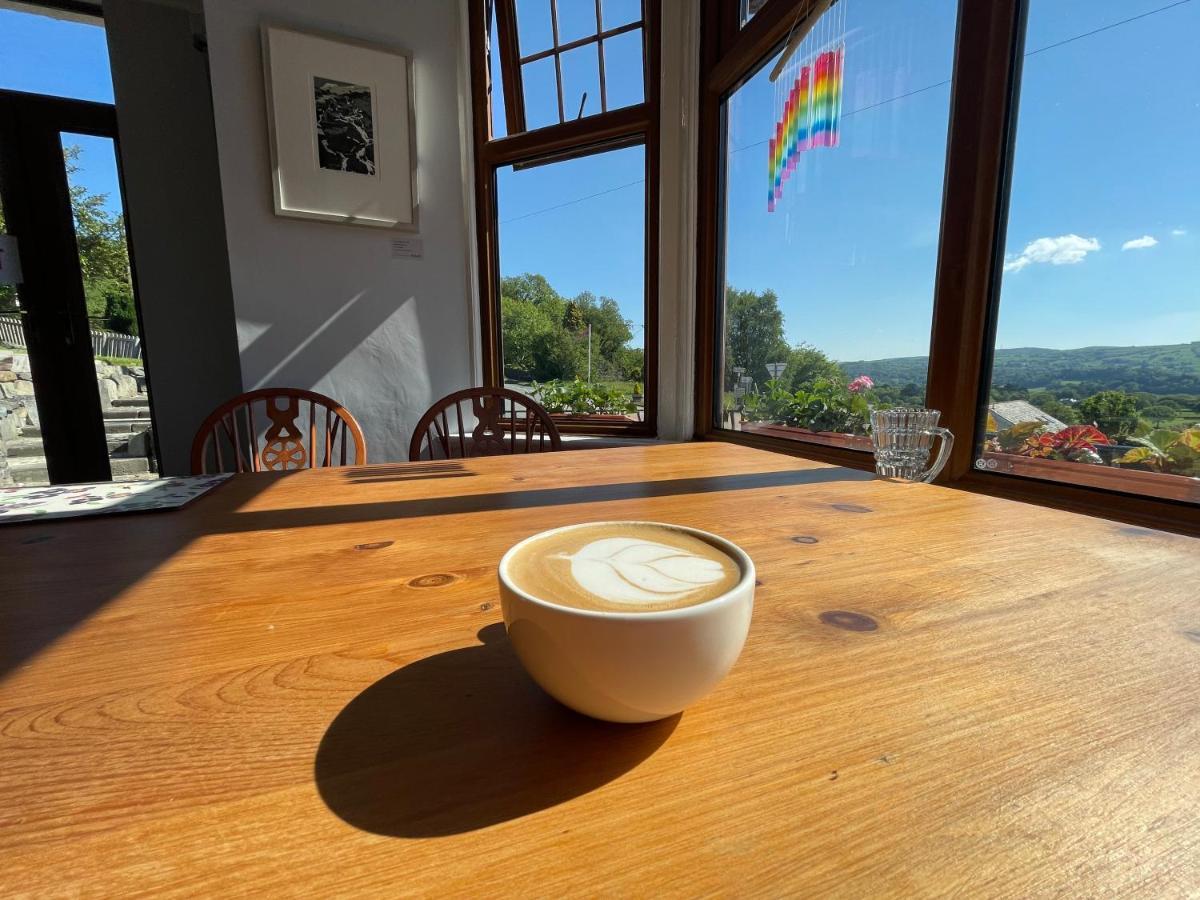 콘위 Y Llew Coch B&B 외부 사진