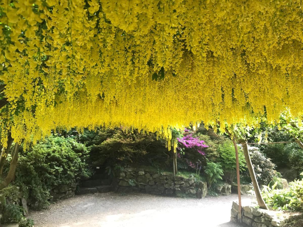 콘위 Y Llew Coch B&B 외부 사진