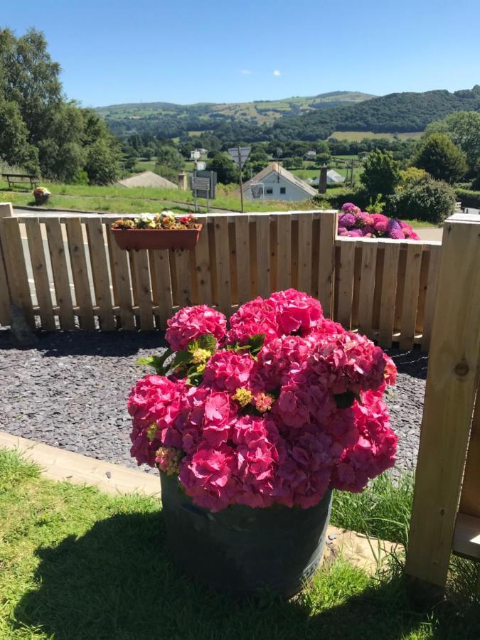 콘위 Y Llew Coch B&B 외부 사진